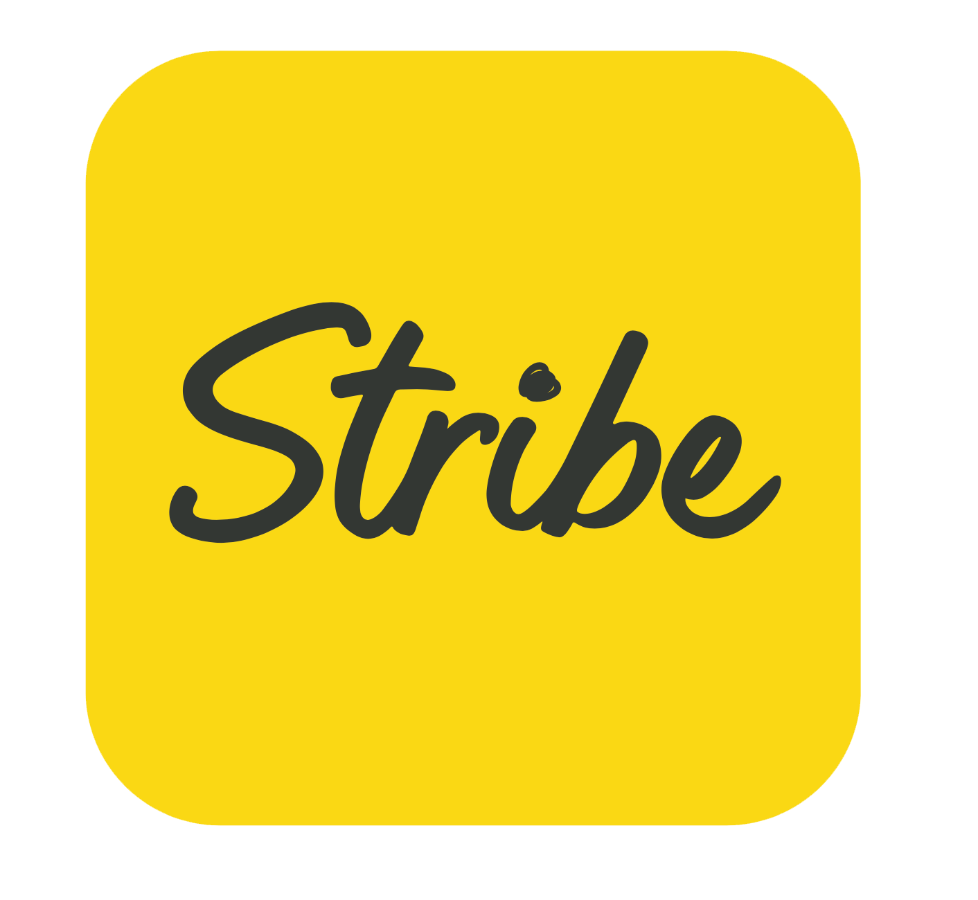 stribe app icon