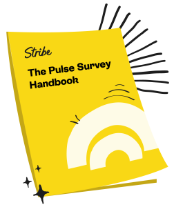 stribe - the pulse survey handbook - yellow cover image